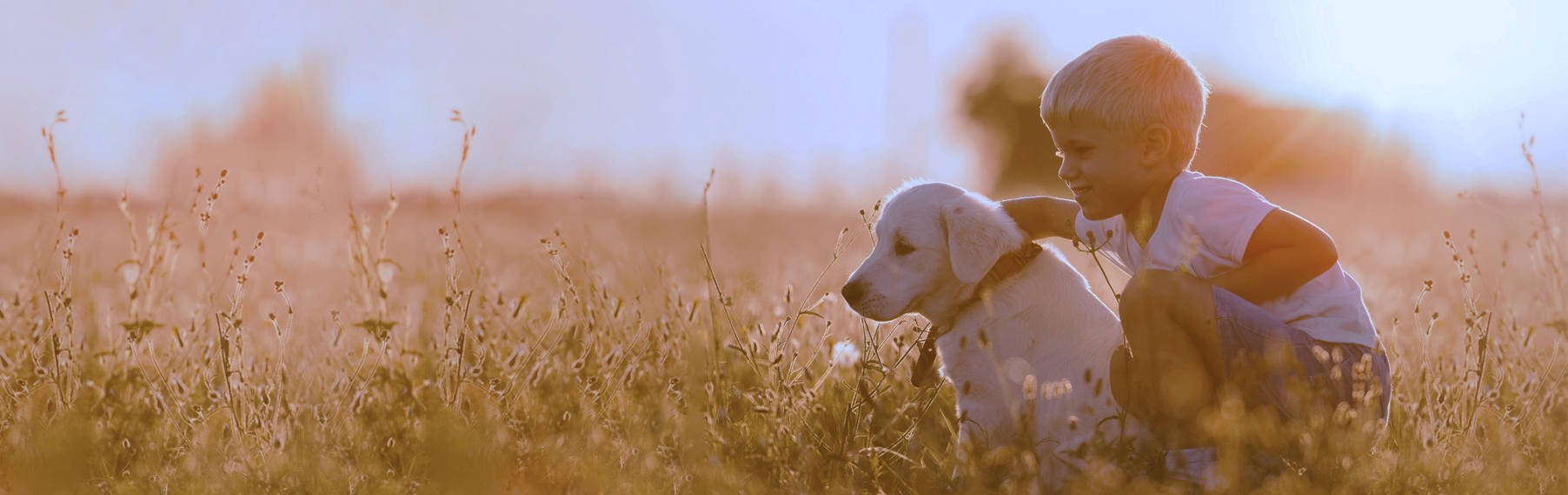 Pet Adoption in Montgomery, AL | Putting Pets First banner